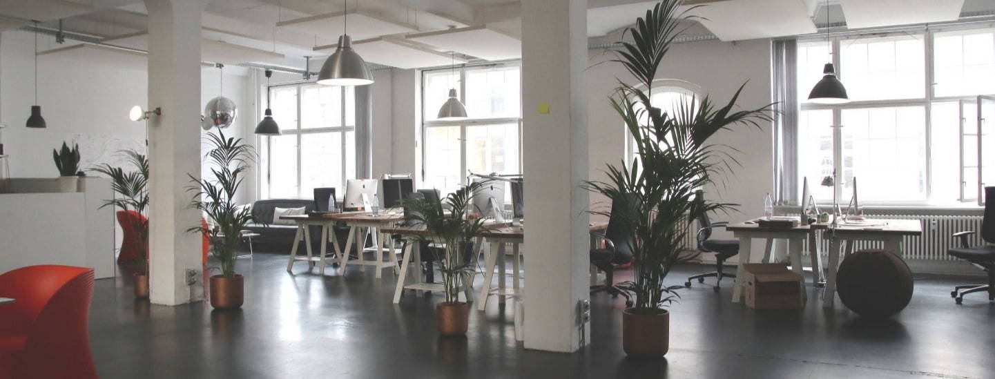 Inside an office with a strong organisational culture