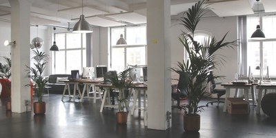 Inside an office with a strong organisational culture