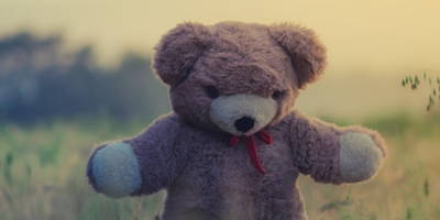 Teddy bear standing in a field
